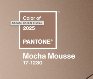 Incorporate Mocha Mousse with Color Analysis Indianapolis tips from Beth Divine image shows Mocha Mousse 17-1230 Color of 2025 from Pantone